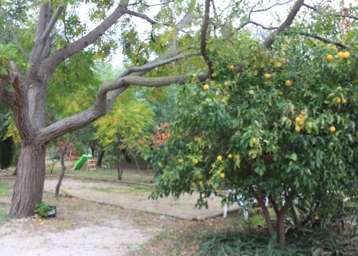 Mas Des Oliviers Апартаменты Saint-Esteve (Pyrenees-Orientales)